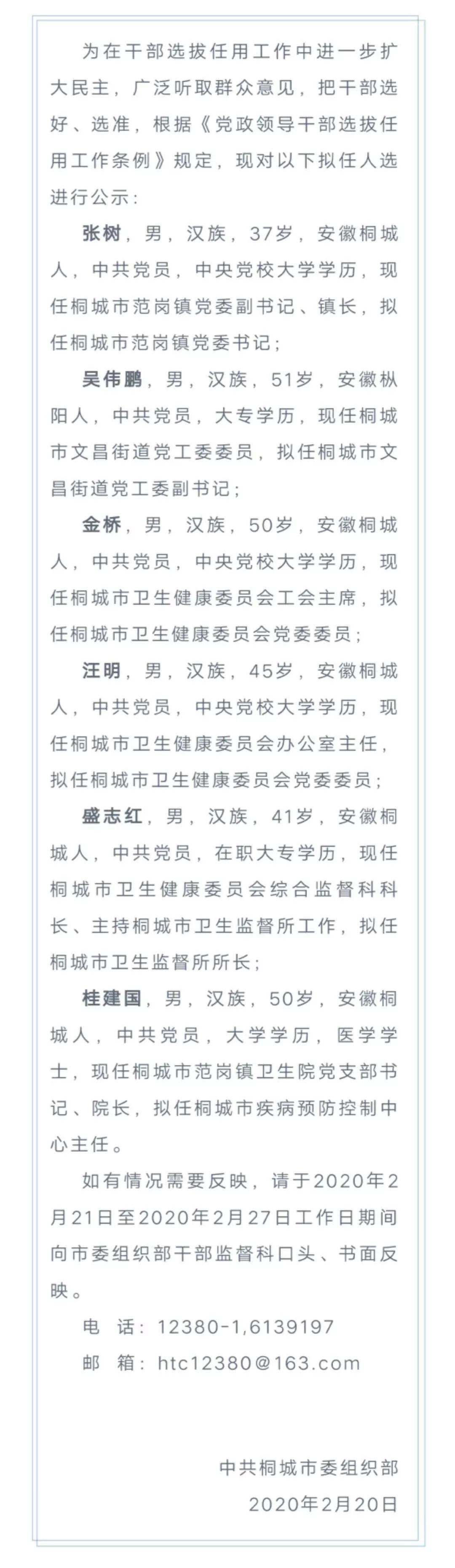 干部任前公示公告_桐城