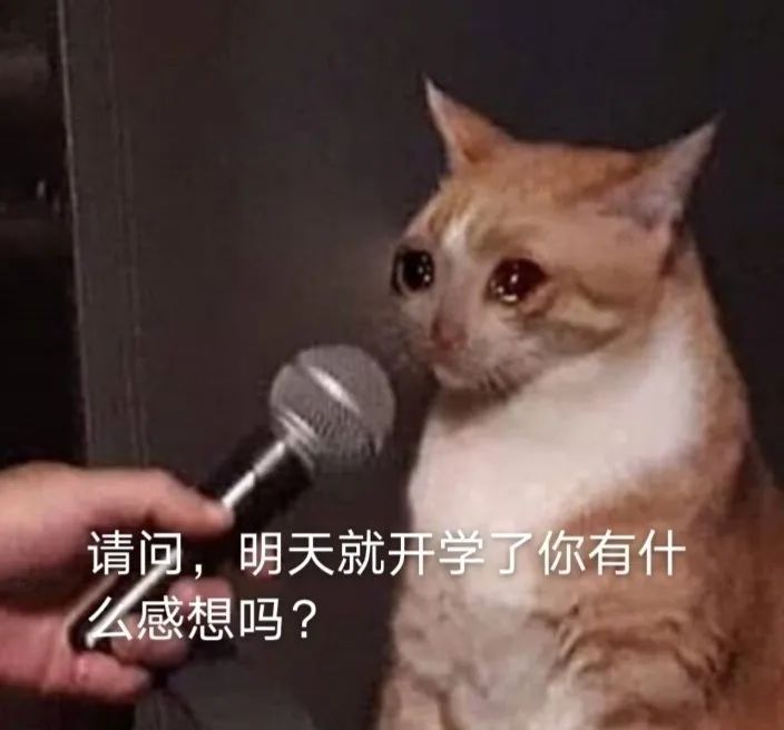 d81e39f6b8b048cc9a11039ffac4ebd9.jpeg