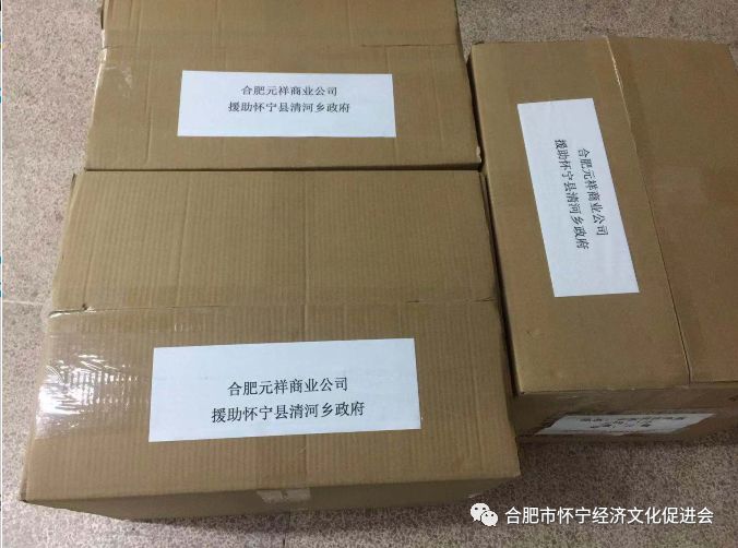 万众一心 众志成城 合肥市怀宁经济文化促进会助力家乡抗击疫情