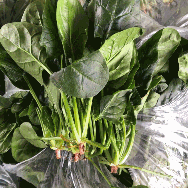 大竹不出门就能买到便宜的蔬菜,水果!
