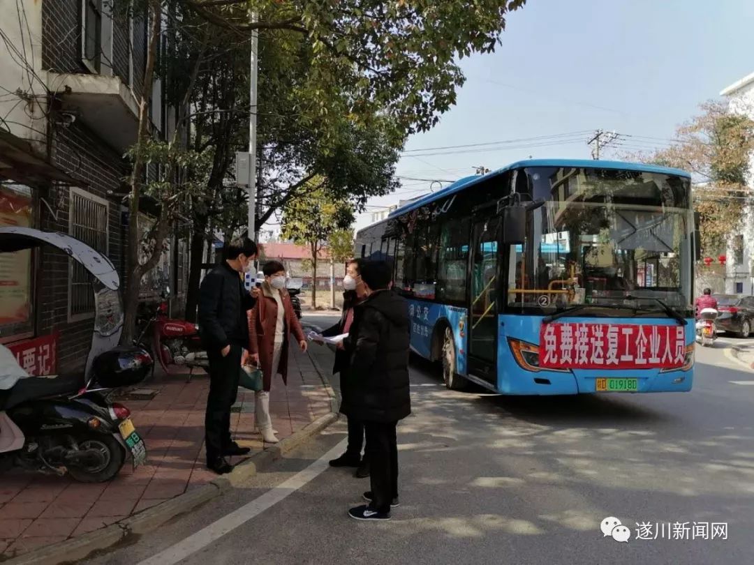 碧洲镇人口_人口普查图片