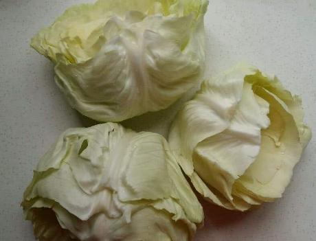 泡菜的腌制方法和配方视频教程 e7fad84fe90846f3ad5041f086feb2c9.jpeg