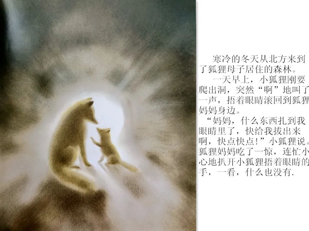 梦境解析，当手遇狐狸之咬——一场关于智慧与直觉的深度探索