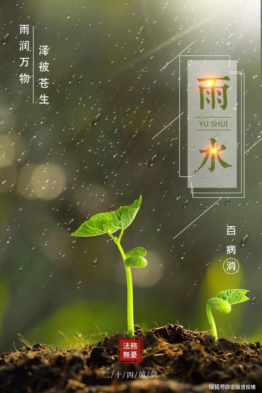 原创雨水|雨润万物,泽被苍生,百病消.