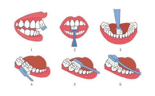 如何正确刷牙 00a8d242ff4b4bf89e70e80e19543c98.png