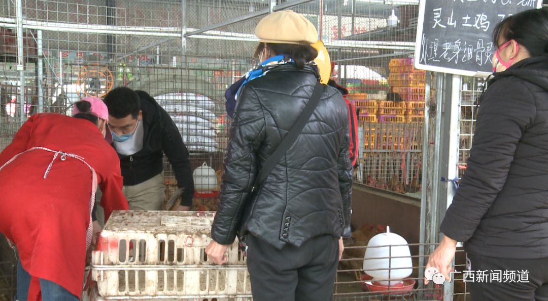 三黄鸡6.2元/斤、土鸭100元3只，南宁农交中心畜禽市场8成商户复工！全城复工还有多久？！