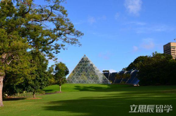科廷大学qs排名2020_澳大利亚科廷大学排名