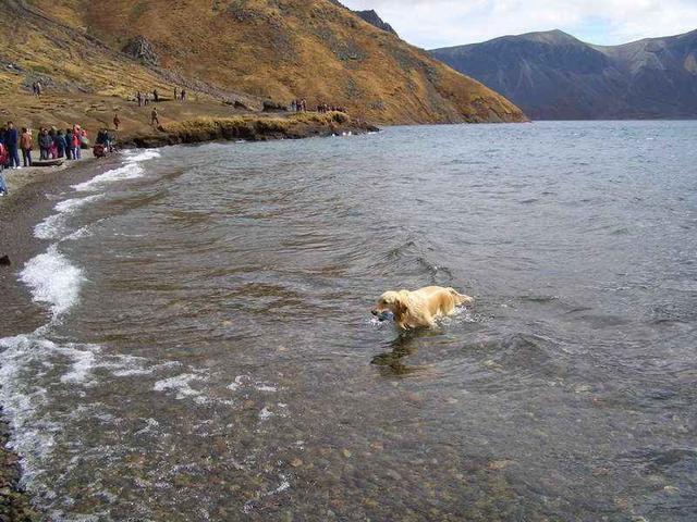 长白山gdp_2016年上半年吉林省各市州GDP排名情况一览(2)