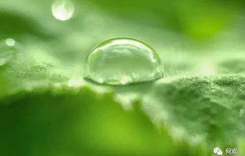 怎么才能让自己的心安静下来 2c240036e1fb49848e34493d94ea71bb.jpeg