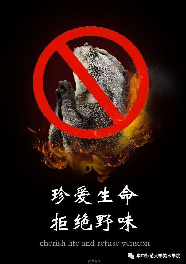 同时禁止的标志警告人们拒绝野味,每一个宣传语也告诫人们尊重自然