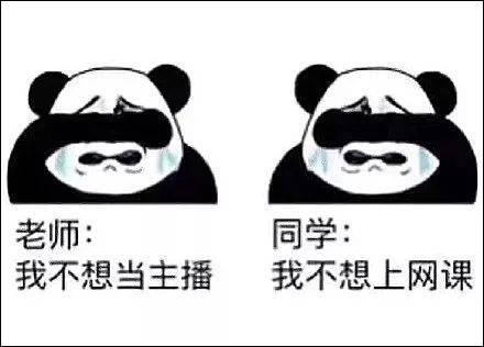 3bbebc1e27d4443dbfdbf86cd35bec50.jpeg