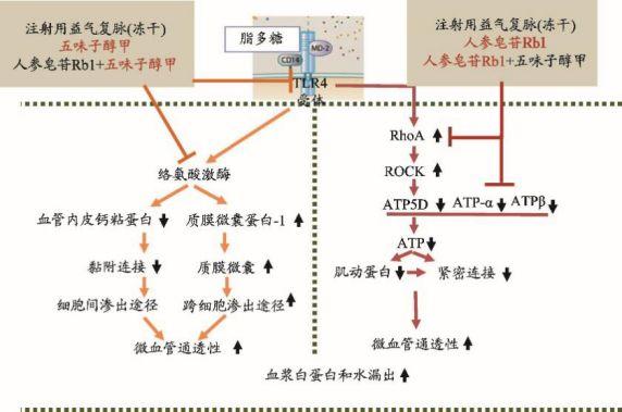 白蛋白后用速尿的原理_冷冻乙醇法分馏的主要原理是利用了血浆蛋白溶解度的不同,在血浆所含(3)