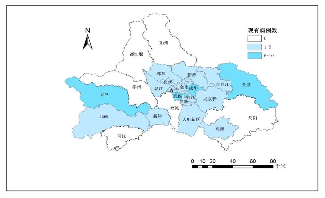 2020全国新增人口_人口普查(2)