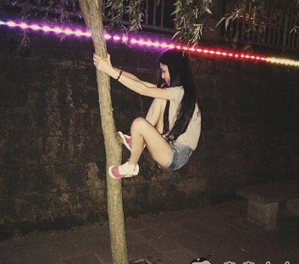 搞笑GIF：妹子你半夜不回家，居然跑着来爬树玩_段子