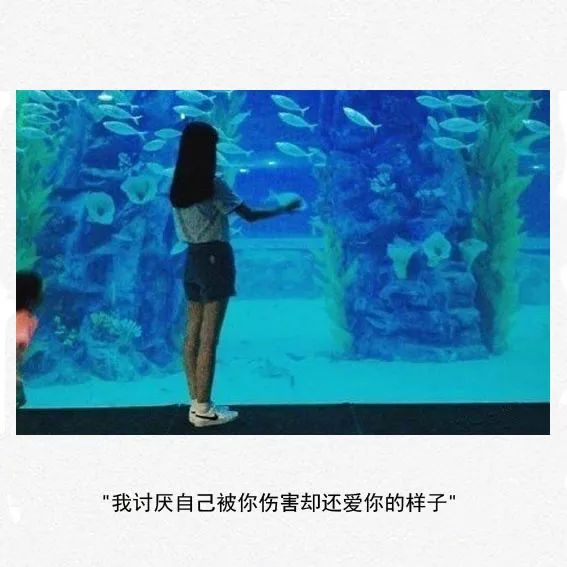 我讨厌自己被你伤害却还爱你的样子