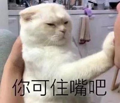表情包丨别问在不在,有事你说