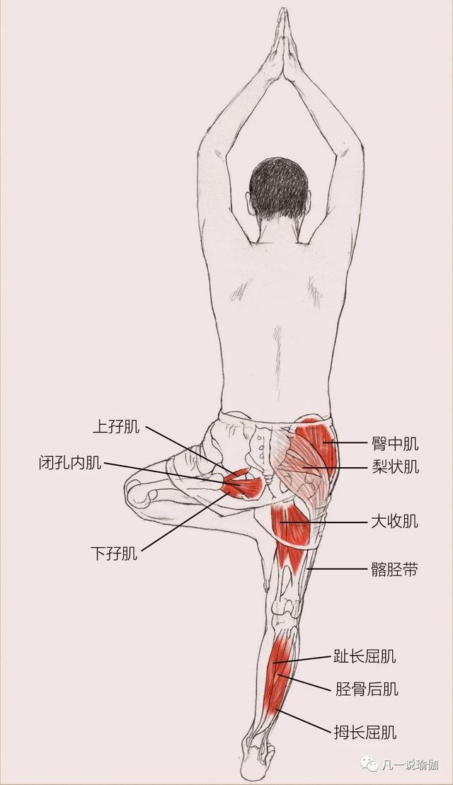 臀部两侧凹陷,影响臀形,怎么办?