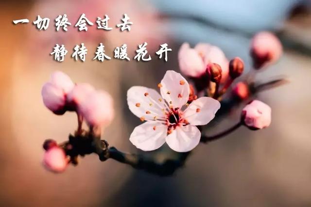 无可奈何灾难来,新春佳节家里呆.