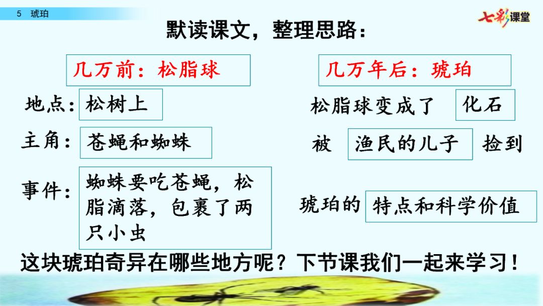 预习| 部编语文四年级下册第5课《琥珀》图文解读 课文朗读 知识点