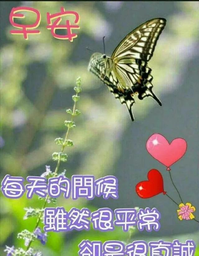 bc77b02931f24be999ef0cb258f2b7e3.jpeg