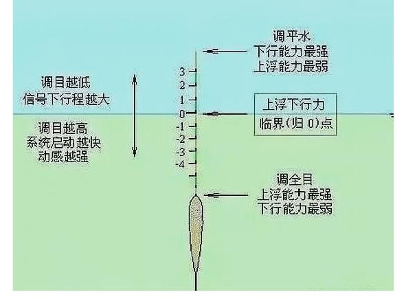 鱼筌的原理_模型图   建造过程   竹编艺术装置   向邵族长老学习制作鱼筌(放置于河流中捕鱼的(3)