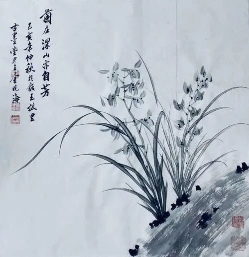 中国人的兰花情节以及当代兰花才子金晓海