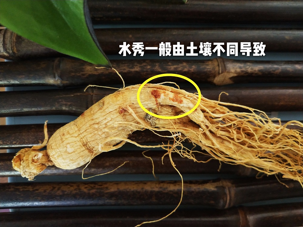 d7723102d3384ae39f5aecfc46aa7f2f.jpeg
