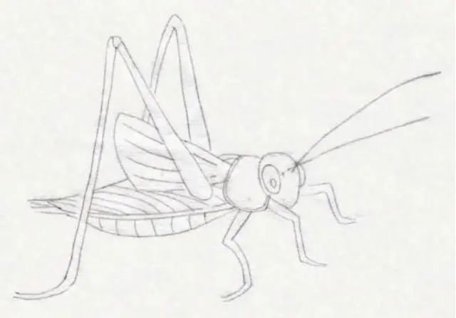 工笔蜻蜓与工笔蚂蚱的画法步骤