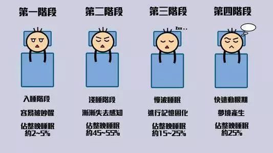 深度睡眠时期,人体肌肉放松,眼球不会运动,呼吸和心率都会变慢,基础