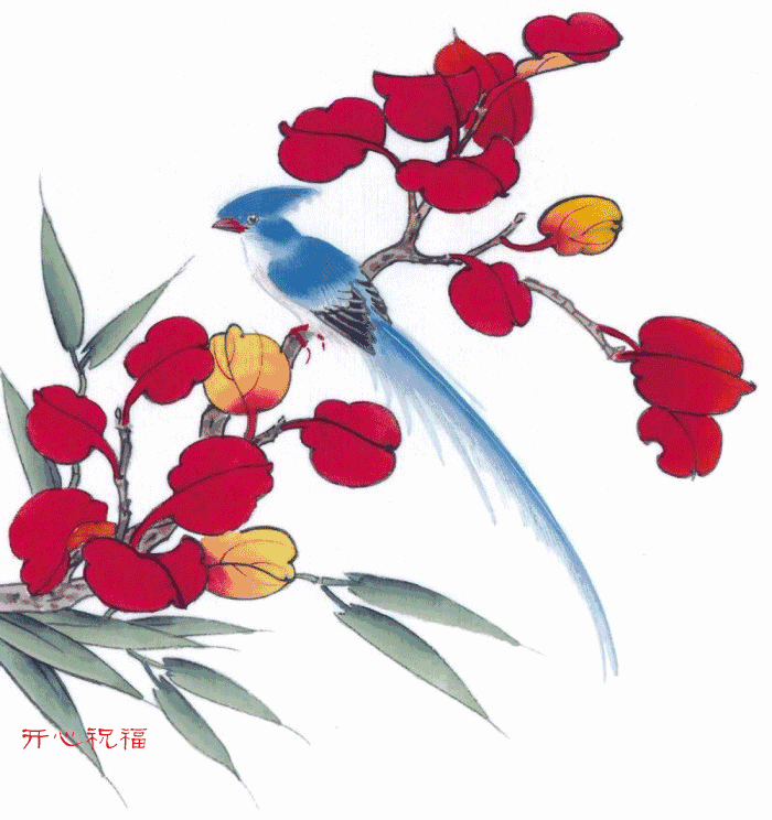 富贵花开动态图欣赏珍藏版