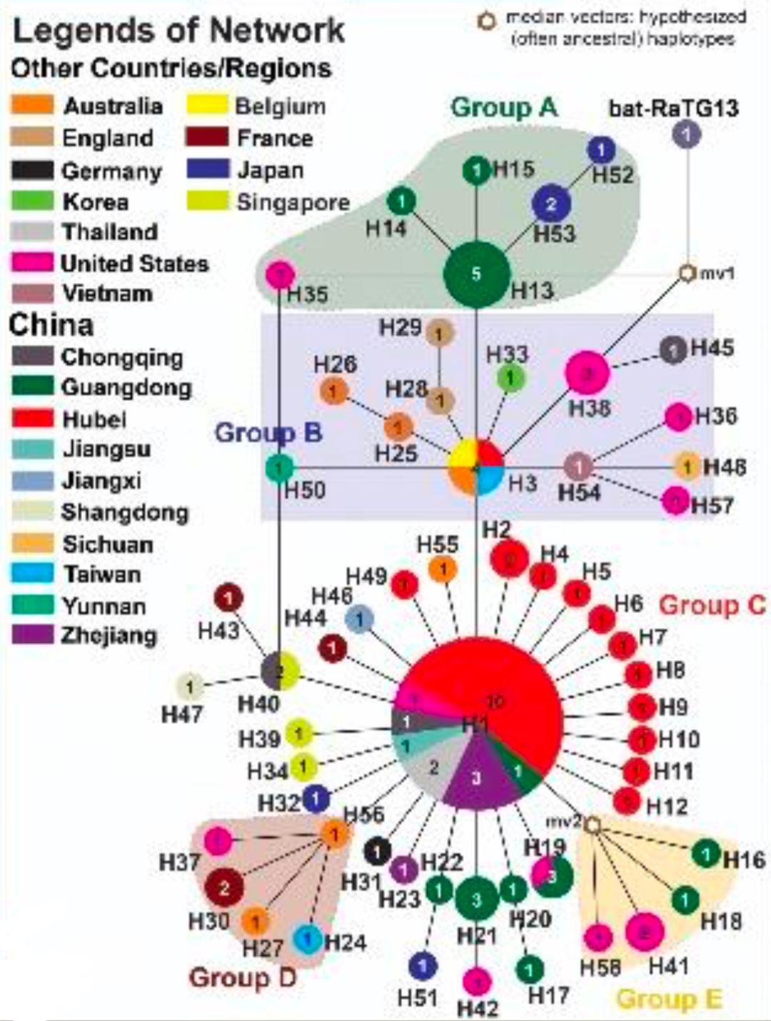 重磅新冠病毒发源地或不是华南海鲜市场中国科学家通过构建新冠病毒的