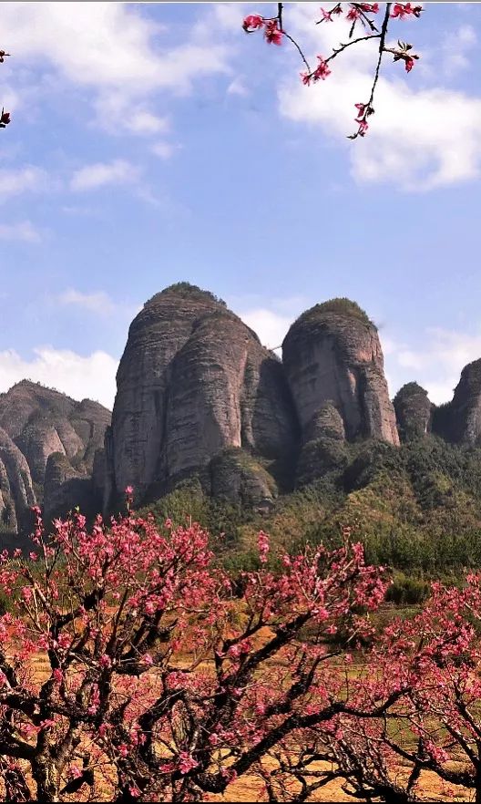 赣州这些4a级以上旅游景区有序恢复开放让我们一起去寻春吧