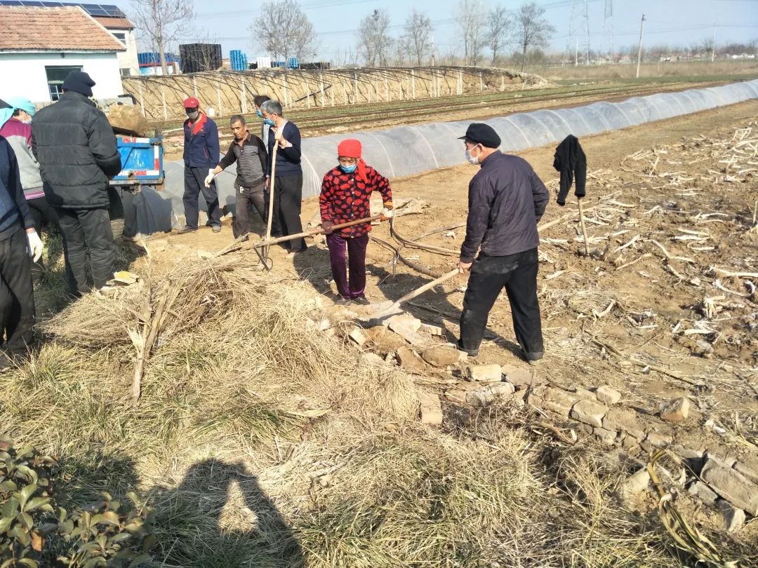 敬仲许屯村人口_人口老龄化图片