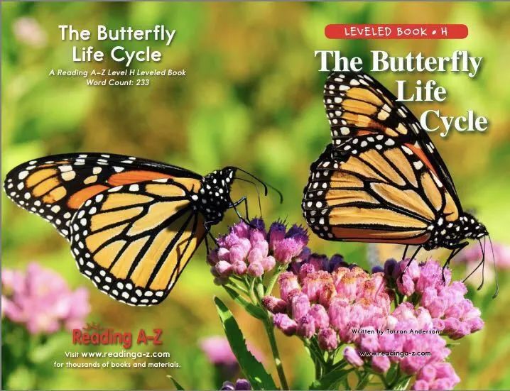 米粒英语绘本课堂thebutterflylifecycle