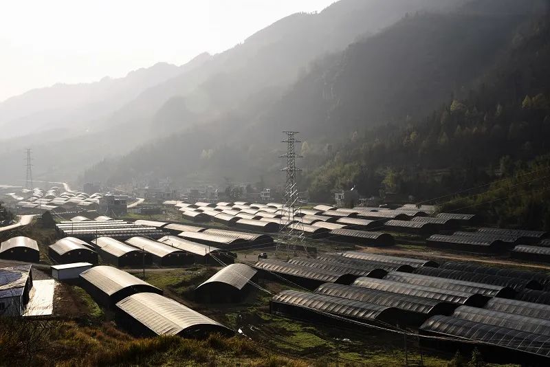 贵州晴隆各地人口_贵州晴隆美食图片(2)