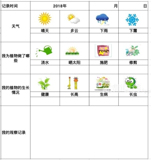 [植物观察记录表]