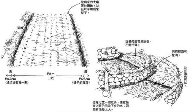 原创川口由一自然农从观察田园开始开垦荒地筑菜畦