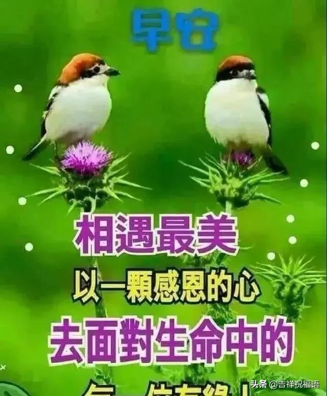 2月23日漂亮早上好问候语表情图片,早安问候语图片表情