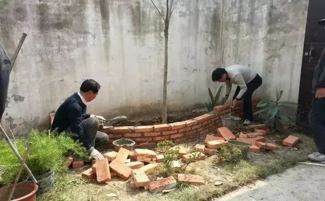 院子改造中---沿围墙一侧用红砖砌的花基,自己摆弄.