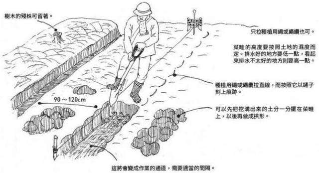 原创川口由一自然农从观察田园开始开垦荒地筑菜畦