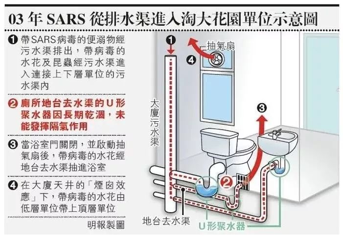 下水管道里的携带病毒气溶胶,直接进入到卫生间