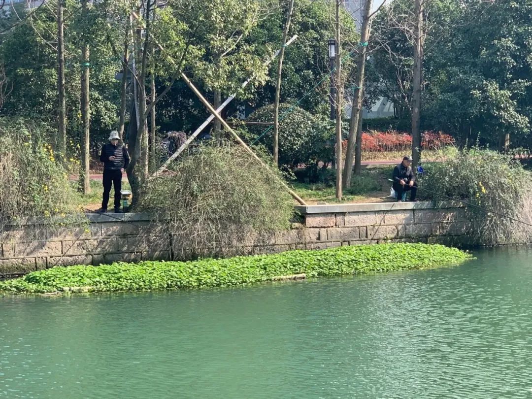 台州有多少人口_台州人口2019总人数口(3)