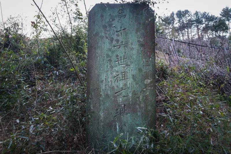 溪口桃坑山南麓又找到蒋介石先生离乡前为蒋家祖辈题写的四块墓碑