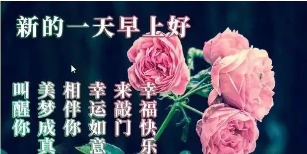 春天最温馨早上好短信问候祝福语图片文字最新早上好问候语图片动