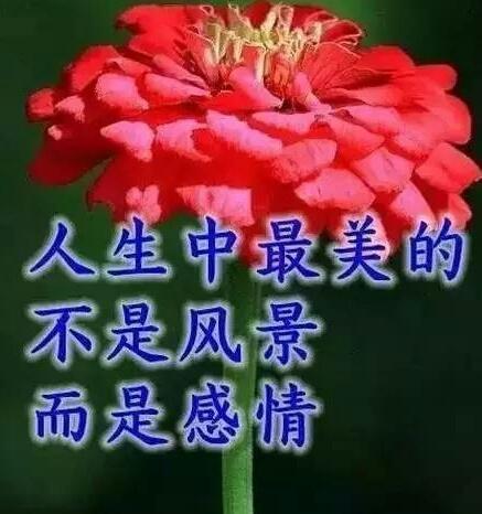 80690d29cd78444390cea24771c3dece.jpeg