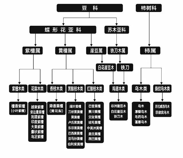 杨家驹选购红木家具三部曲