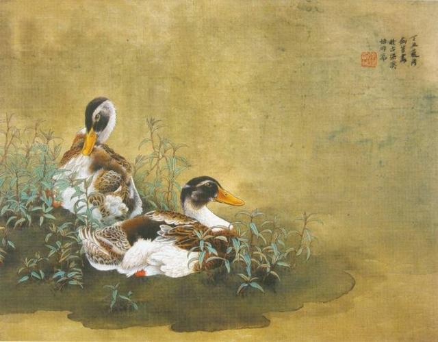 工笔画中国画名家家禽鸡鸭鹅