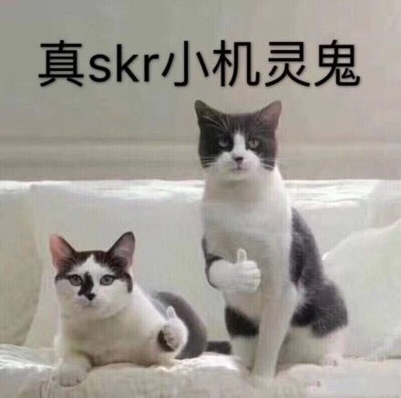 96805752caae4394a03fac29c6c54438.jpeg