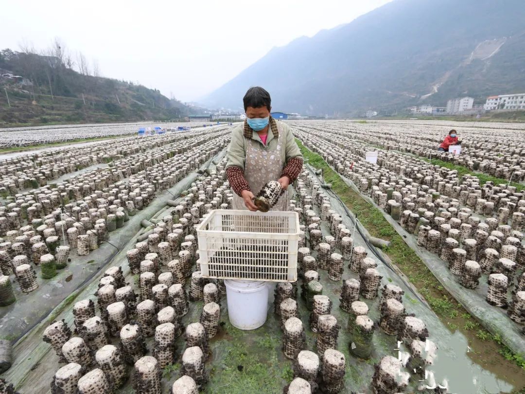 印江有多少人口_印象贵州 最美的景色在路上