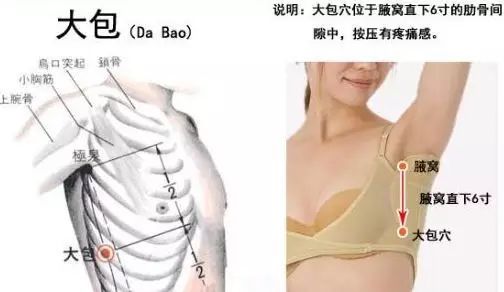c348b628cdd4465ea9f370399ceea000.jpeg